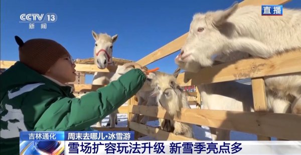 周末去哪玩?雪场“不打烊” 冰雪文旅一齐畅游